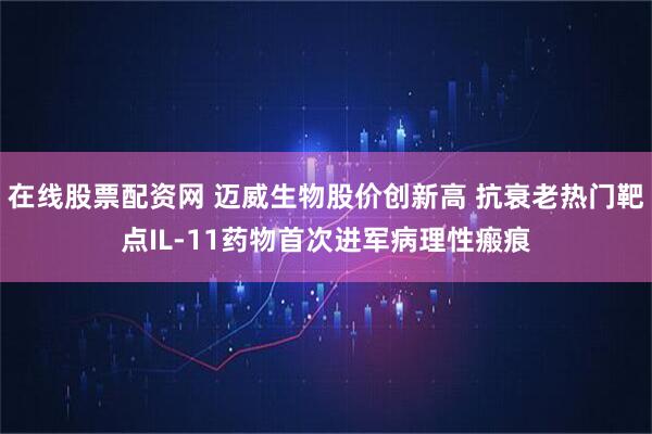 在线股票配资网 迈威生物股价创新高 抗衰老热门靶点IL-11药物首次进军病理性瘢痕