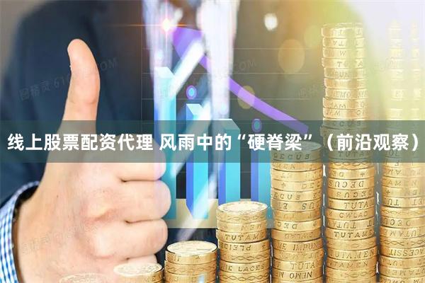 线上股票配资代理 风雨中的“硬脊梁”（前沿观察）